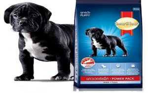 phân loại thức ăn cho chó