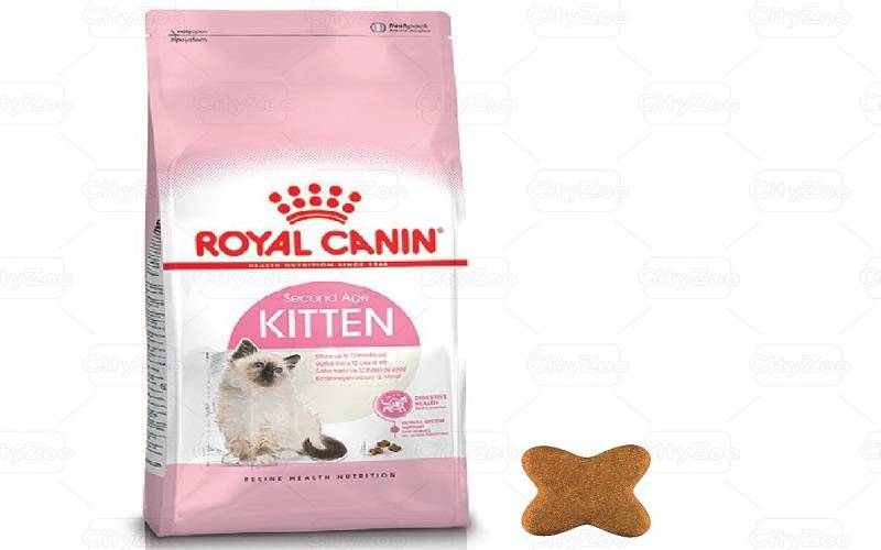 các loại thức ăn hạt royal canin cho mèo